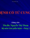 Bài giảng Bệnh cổ tử cung - Ths.Bs. Nguyễn Thị Thơm