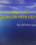 Bài giảng Kháng thể Globulin miễn dịch - ThS. Đỗ Minh Quang