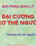 Bài giảng Giải phẫu sinh lý: Đại cương cơ thể người - BS.CKI. Nguyễn Văn Thịnh