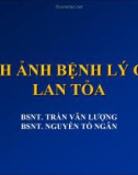 Bài giảng Hình ảnh bệnh lý gan lan tỏa - Trần Văn Lượng, Nguyễn Tố Ngân