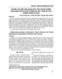 Nghiên cứu mối liên quan giữa tình trạng nhiễm helicobacter pylori và bệnh dạ dày tăng áp cửa ở bệnh nhân xơ gan