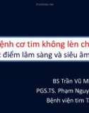 Bài giảng Bệnh cơ tim không lèn chặt đặc điểm lâm sàng và siêu âm tim ở 10 bệnh nhân - BS Trần Vũ Anh Thư