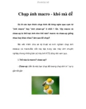 Chụp ảnh macro - khó mà dễ