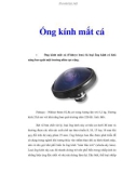 Ống kính mắt cá