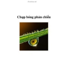 Chụp bóng phản chiếu