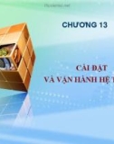 Bài giảng Nhập môn tin học: Chương 13 - Trần Thị Kim Chi