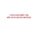 Cẩm nang điều trị sốt xuất huyết Dengue