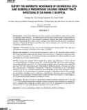 Khảo sát tính kháng kháng sinh của Escherichia coli và Klebsiella pneumoniae gây nhiễm trùng tiết niệu tại Bệnh viện C Đà Nẵng