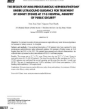 Kết quả tán sỏi thận qua da đường hầm nhỏ dưới hướng dẫn siêu âm điều trị sỏi thận tại Bệnh viện 19-8, Bộ Công an