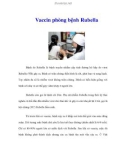 Vaccin phòng bệnh Rubella