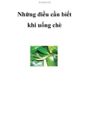 Những điều cần biết khi uống chè