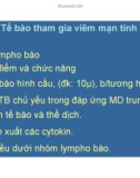 Bài giảng bệnh học viêm part 10