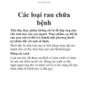 Các loại rau chữa bệnh