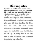 Bổ sung selen