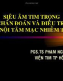 Bài giảng: Siêu âm tim trong chẩn đoán và điều trị viêm nội tâm mạc nhiễm trùng - PGS.TS Phạm Nguyễn Vinh