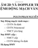 Bài giảng Siêu âm 2D và Doppler trong bệnh động mạch vành