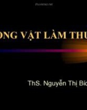 ĐỘNG VẬT LÀM THUỐC - ThS. Nguyễn Thị Bích Hằng