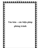 Táo bón – các biện pháp phòng tránh