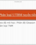 Phân loại UTBM tiền liệt tuyến theo Glaeson