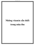 Những vitamin cần thiết trong mùa thu