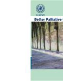 BETTER PALLIATIVE CARE FOR OLDER PEOPLE