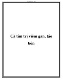 Cà tím trị viêm gan, táo bón