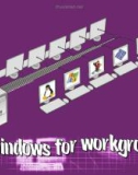 Bài giảng Quản trị và bảo trì hệ thống: Windows for Workgroup