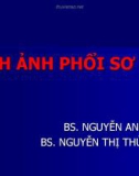 HÌNH ẢNH PHỔI SƠ SINH