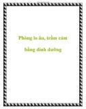 Phòng lo âu, trầm cảm bằng dinh dưỡng