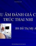 Siêu âm đánh giá cấu trúc thai nhi - Bs Đỗ Thị Mỹ An