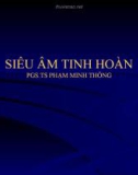 Bài giảng: SIÊU ÂM TINH HOÀN