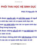 PHÔI THAI HỌC HỆ SINH DỤC