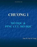 Nghiên cứu mô học