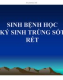 Bài giảng Sinh bệnh học ký sinh trùng sốt rét