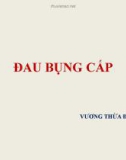 Bài giảng Đau bụng cấp - Vương Thừa Đức