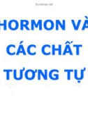 Bài giảng Hormon và các chất tương tự