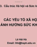 Bài giảng Xã hội học sức khỏe : Bài 3 - Lê Hải Hà, MA