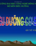 Bài giảng Điều dưỡng cơ bản I: Dấu sinh hiệu - GV. Vũ Văn Tiến