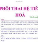 Bài giảng Phôi thai hệ tiêu hóa - ThS. Trịnh Sinh Tiên