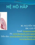 Bài giảng Hệ hô hấp - BS. Nguyễn Trường Kỳ