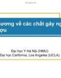 Bài giảng Đại cương về các chất gây nghiện và rượu - Đại học Y Hà Nội