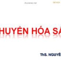 Bài giảng Chuyển hóa sắt - ThS. Nguyễn Hồng Hà