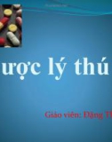 Bài giảng Dược lý thú y: Chương I - Đặng Thị Mỹ Tú