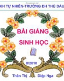 Bài giảng Giải phẫu sinh lý trẻ em: Bài mở đầu - Thân Thị Diệp Nga