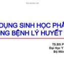 Bài giảng Huyết học: Ứng dụng sinh học phân tử trong bệnh lý huyết học - TS.BS Phan Thị Xinh