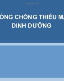 Bài giảng Phòng chống thiếu máu dinh dưỡng