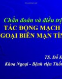 Bài giảng Chẩn đoán và điều trị tắc động mạch ngoại biên mạn tính - TS. Đỗ Kim Quế