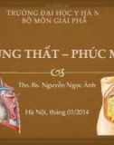 Bài giảng Giải phẫu: Trung thất-phúc mạc - Ths.Bs. Nguyễn Ngọc Ánh