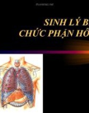 Bài giảng Sinh lý bệnh chức phận hô hấp