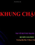 Bài giảng Khung chậu - ThS. Võ Huỳnh Trang